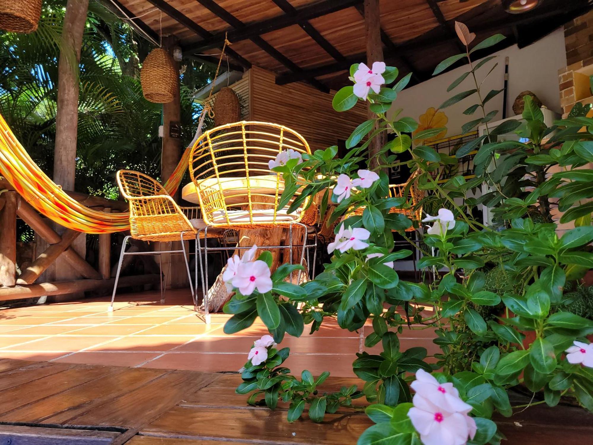 Hostal Antawara Tayrona エル・ザイノ エクステリア 写真